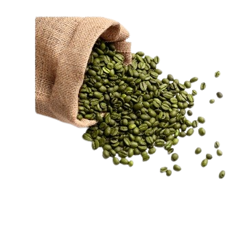 test_use...-removebg-preview